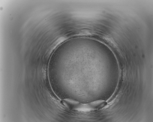 X0000088601409200706011151