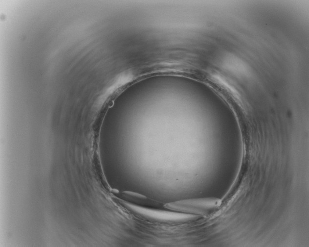 X0000088601411200706011151