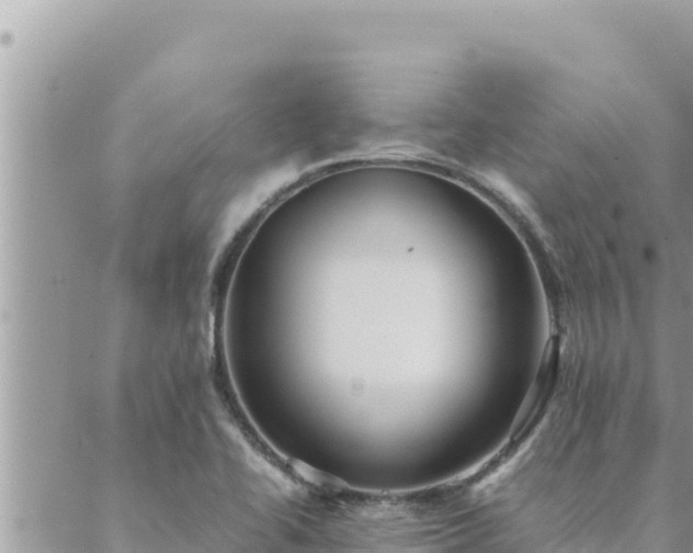 X0000088601414200706011151