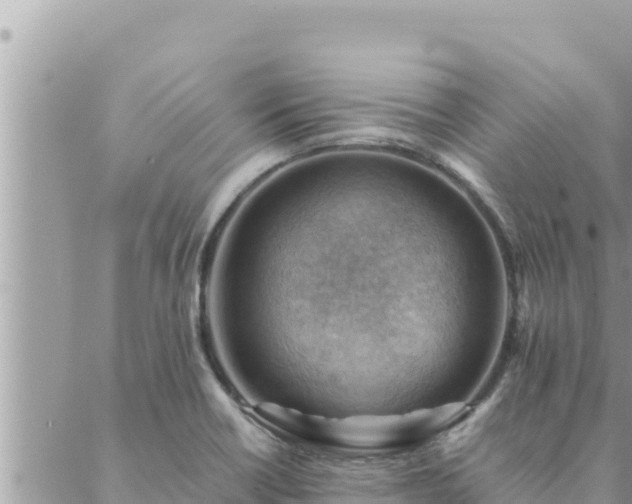 X0000088601418200706011151