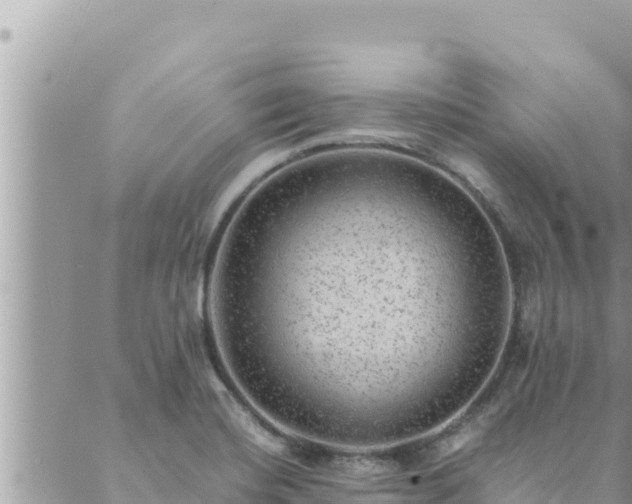 X0000088601420200706011151