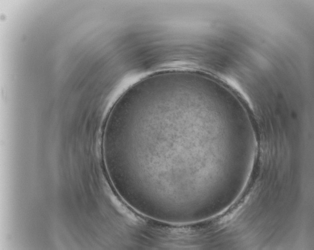 X0000088601421200706011151