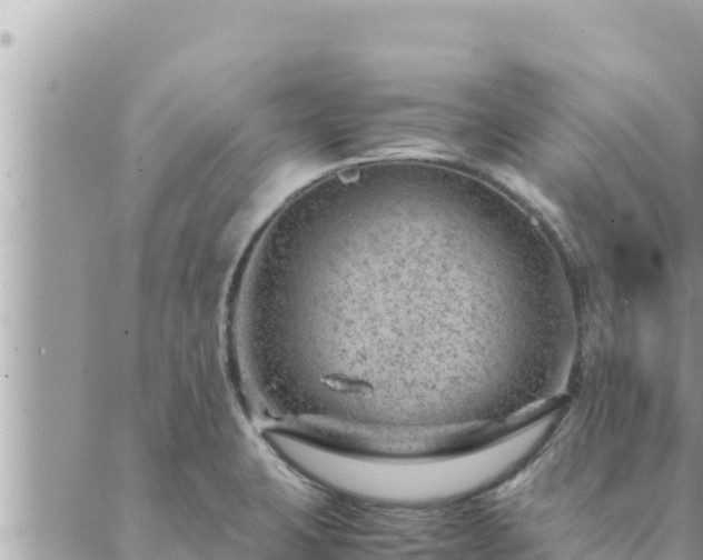 X0000088601423200706011151