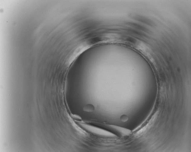 X0000088601425200706011151