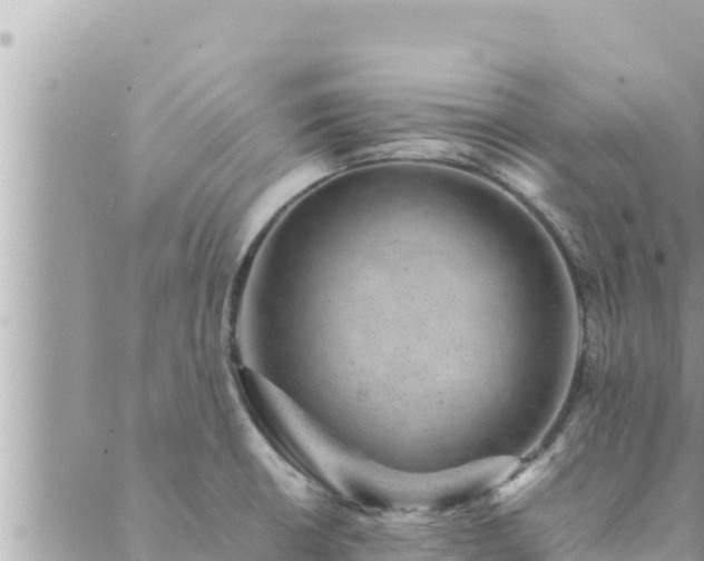 X0000088601426200706011151