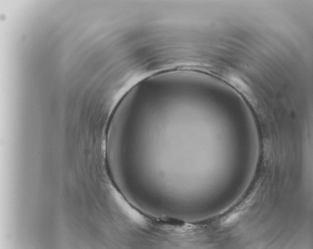 X0000088601428200706011151