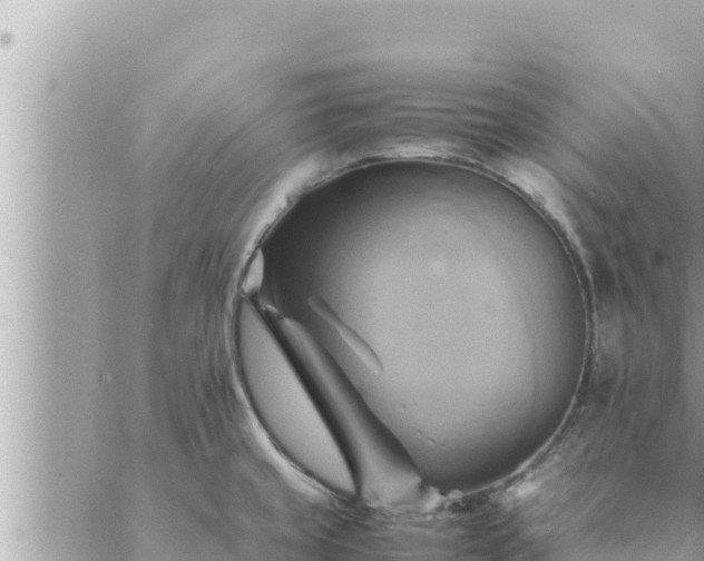 X0000088601429200706011151