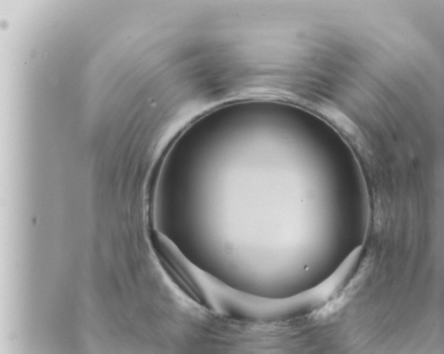 X0000088601430200706011151