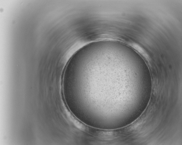 X0000088601431200706011151