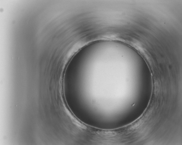 X0000088601432200706011151