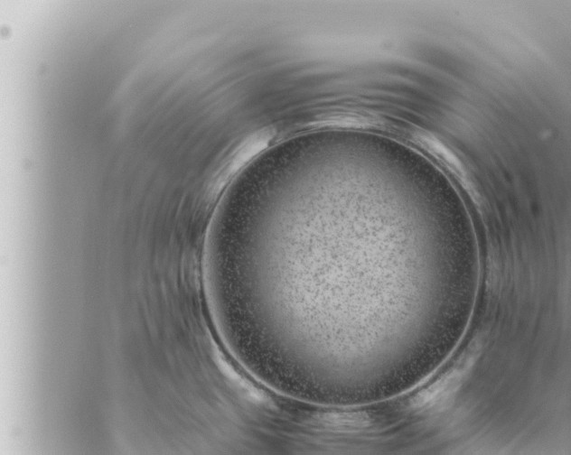 X0000088601433200706011151