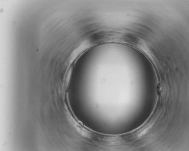 X0000088601434200706011151