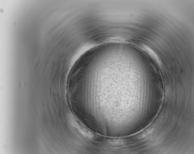 X0000088601435200706011151