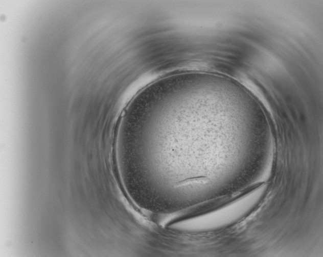 X0000088601437200706011151