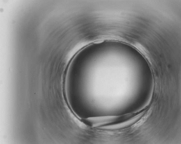 X0000088601438200706011151