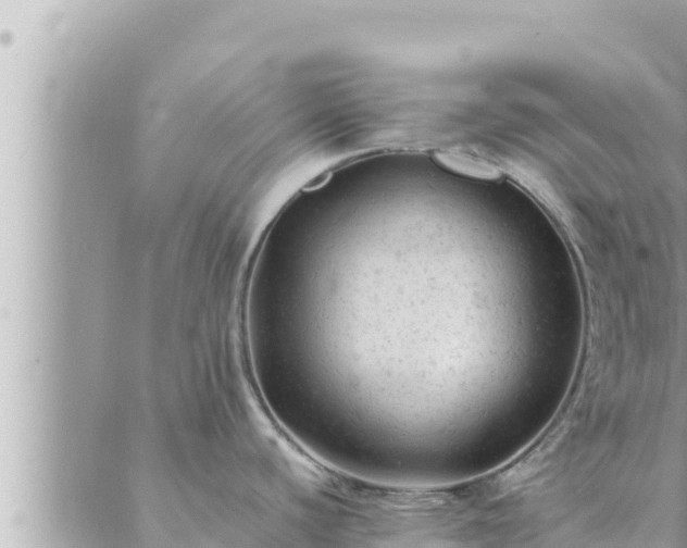 X0000088601440200706011151