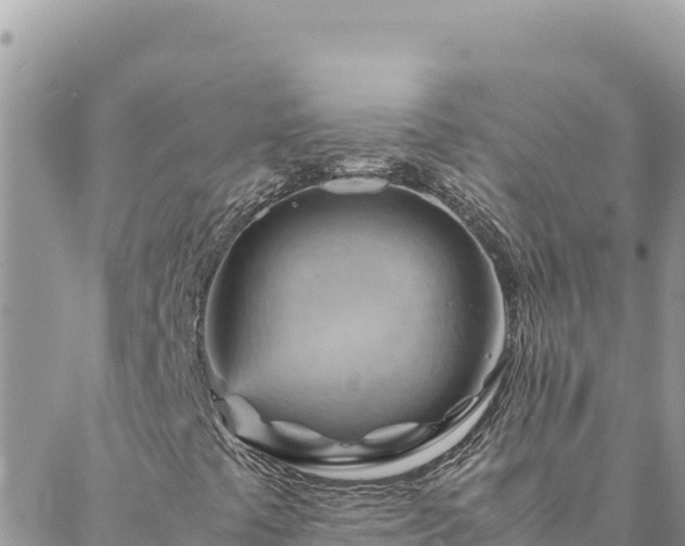 X0000088601441200706011151