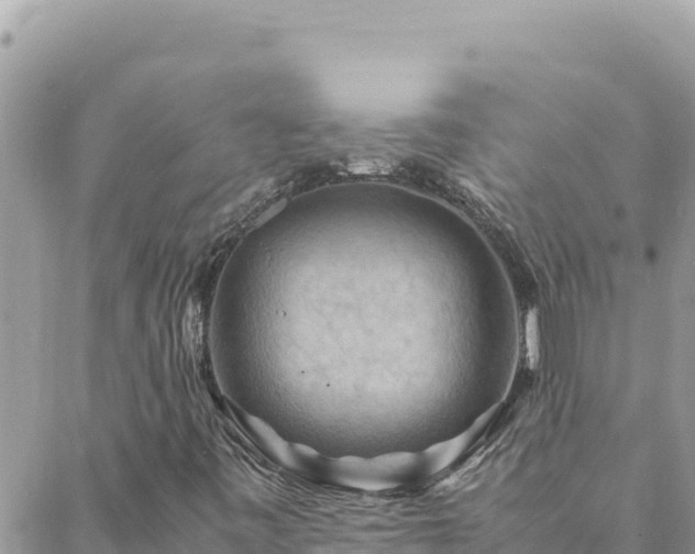 X0000088601443200706011151