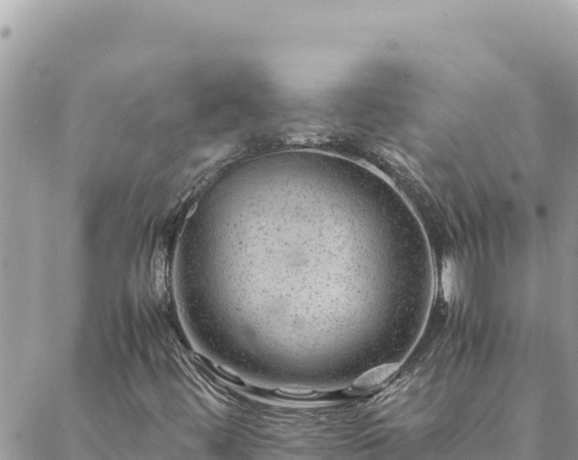 X0000088601444200706011151