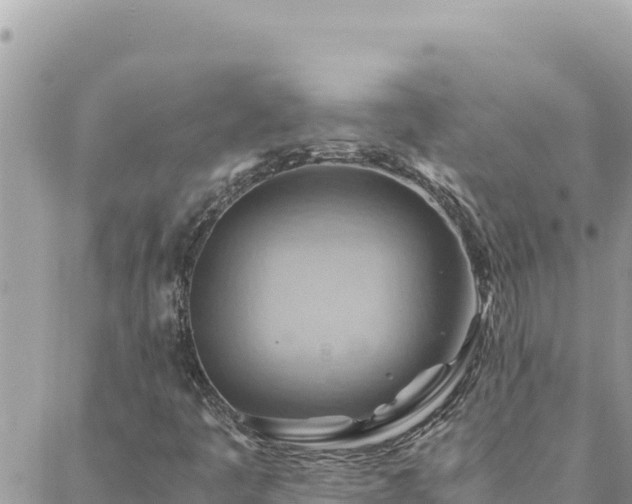 X0000088601445200706011151