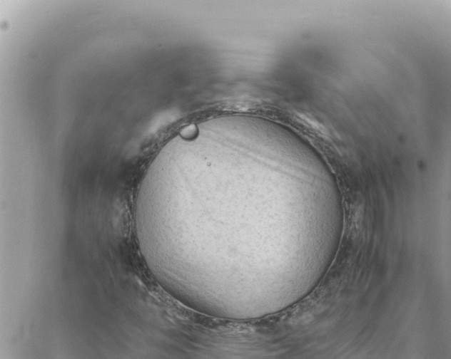 X0000088601446200706011151