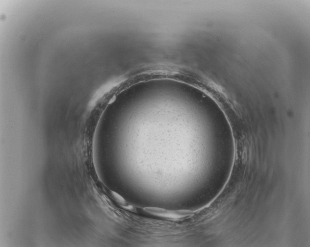 X0000088601448200706011151