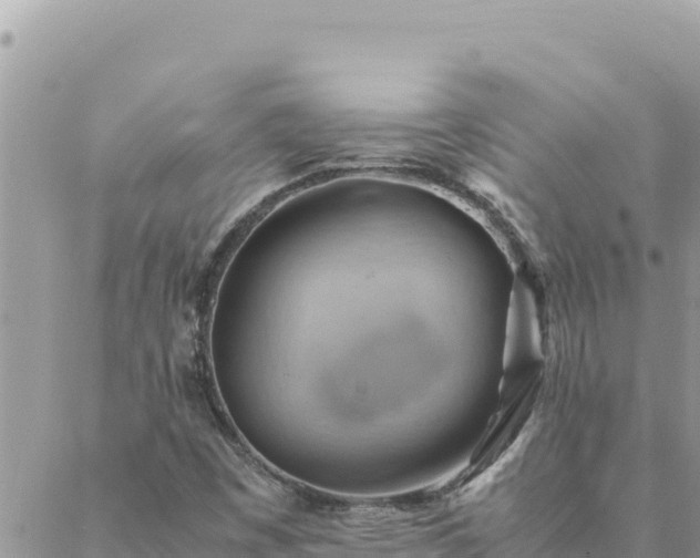 X0000088601449200706011151