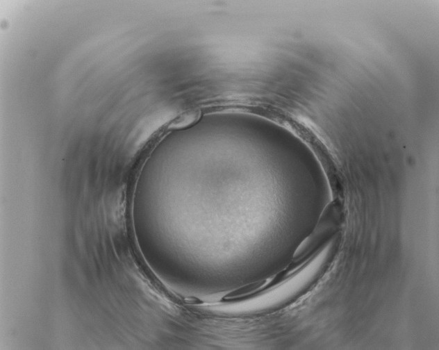 X0000088601450200706011151