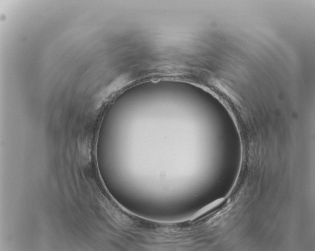 X0000088601451200706011151