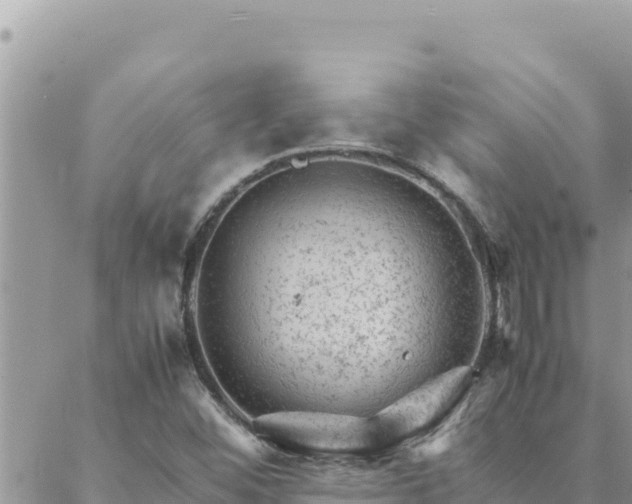 X0000088601452200706011151