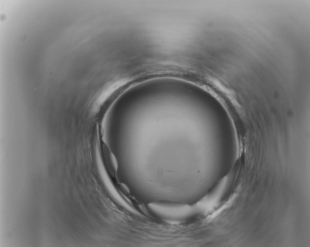 X0000088601453200706011151