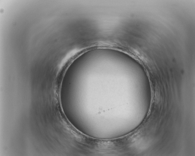 X0000088601454200706011151