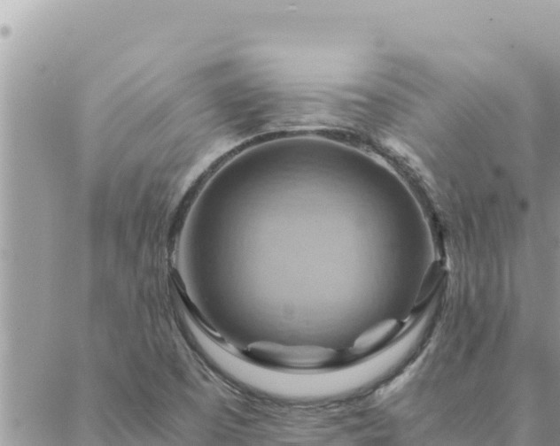 X0000088601457200706011150