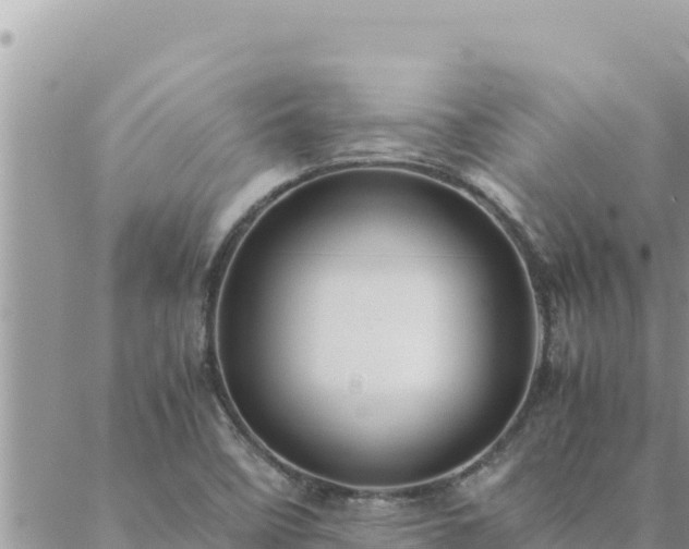 X0000088601458200706011150