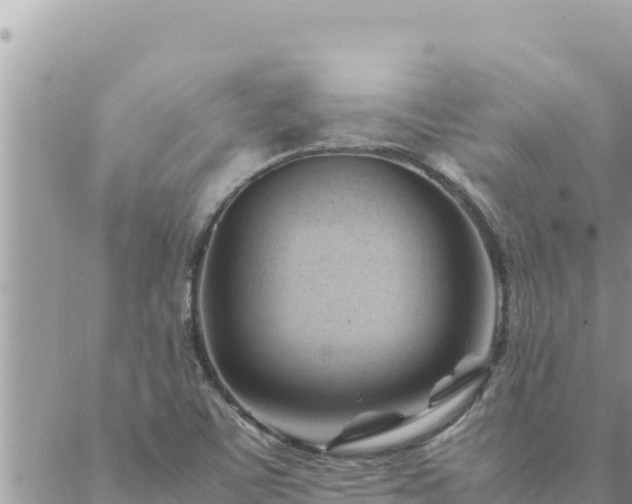 X0000088601459200706011150