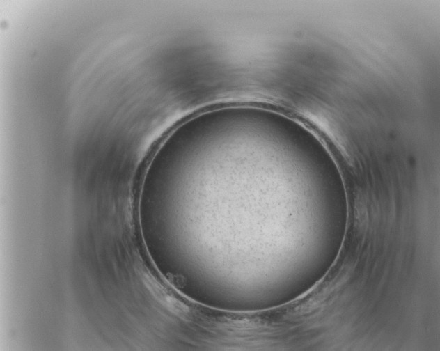 X0000088601460200706011150