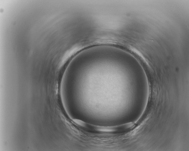 X0000088601461200706011150