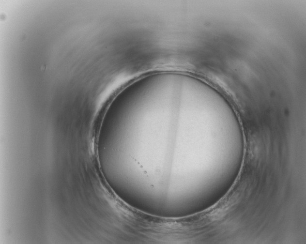 X0000088601462200706011150