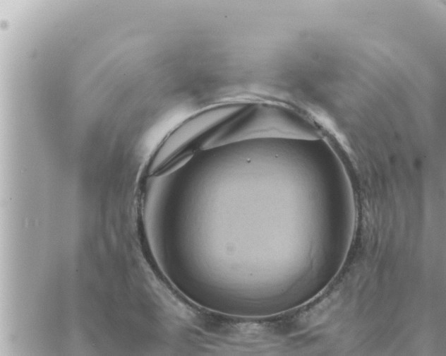 X0000088601463200706011150