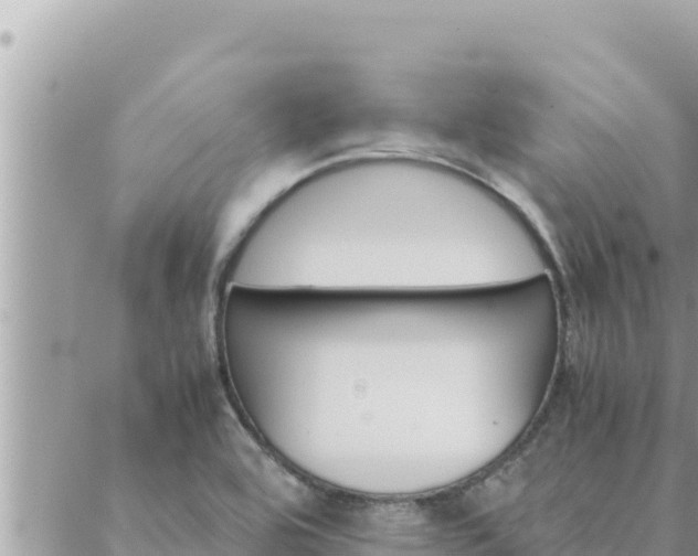 X0000088601464200706011150