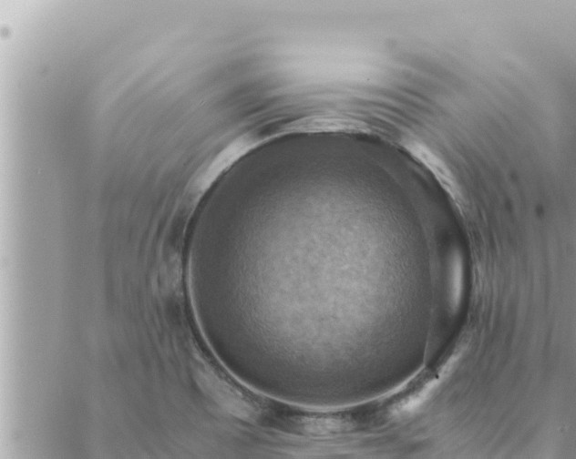 X0000088601465200706011150