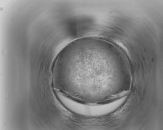 X0000088601467200706011150