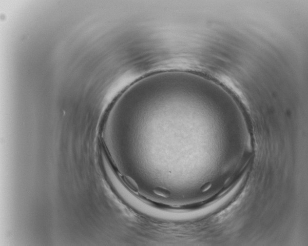 X0000088601469200706011150