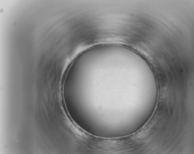 X0000088601470200706011150