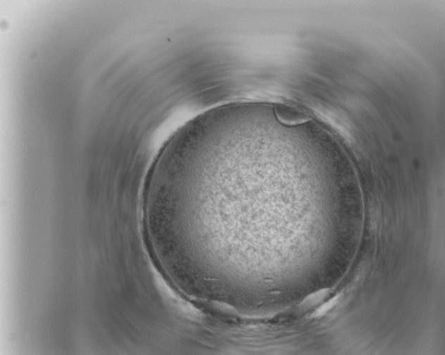 X0000088601471200706011150