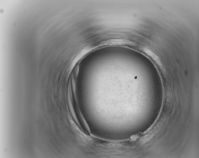 X0000088601473200706011150