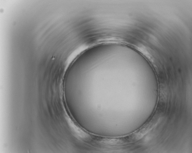 X0000088601474200706011150