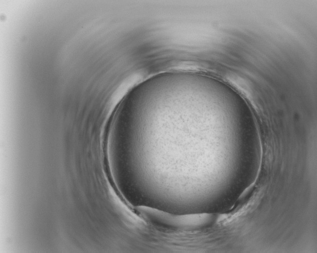 X0000088601475200706011150