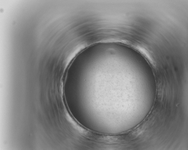 X0000088601476200706011150