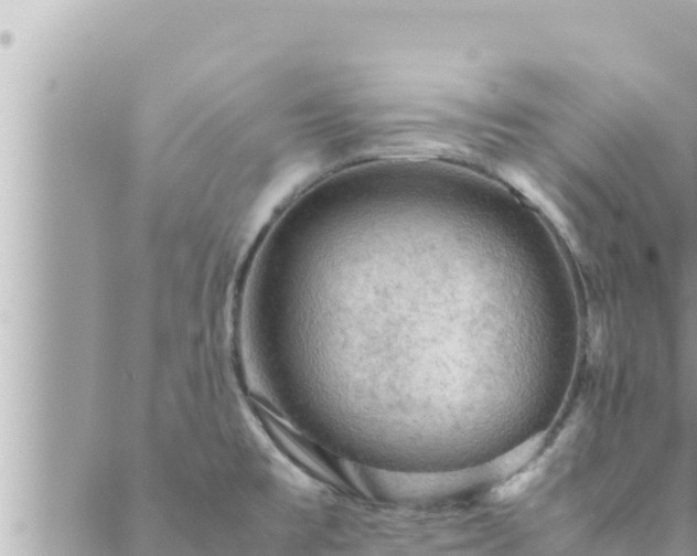 X0000088601477200706011150